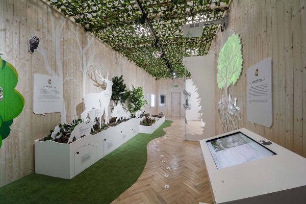 Tajemniczy-Las-01-scaled